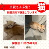 【愛媛県新居浜市】里親募集のお知らせ！