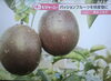 この八王子名産パッションフルーツ　当店で購入できます。「NHK NEWS おはよう日本　で放送していた 八王子名産パッションフルーツ　当店で販売しています。八王子キャンディーもありますので食べた事がない方はぜひ、１度食べてみて下さい。802SKYSHOP 八王子おみやげ　八王子産　八王子特産　」
