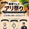 熱帯フェス～アリ祭り～開催決定！！