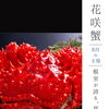 8月の主役、花咲蟹