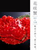 「8月の主役、花咲蟹」