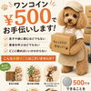 ワンコインサービス始めました！