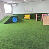 COOOLTURFで室内ドッグランも快適空間に。‼️