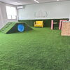 COOOLTURFで室内ドッグランも快適空間に。‼️