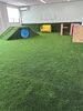 COOOLTURFは場所を問わず快適空間に。「COOOLTURFで室内ドッグランも快適空間に。‼️」