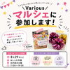 《鎌ヶ谷 キッズチア Various》マルシェに出店いたします！✨