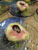 「旬のいちじくを香ばしく「いちじくの田楽」」