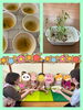 「豆苗🌱」
