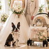 結婚式に大切なペットも一緒に♡ウェディングシッターのご案内