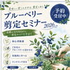 ブルーベリー剪定セミナー2026 開催！