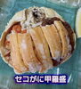 「セコがに甲羅盛、超超特価で販売中✨」