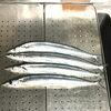 初物！！秋刀魚入荷しました！！