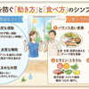 夏バテを防ぐ「動き方」と「食べ方」のシンプル習慣