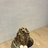 新作かき氷「ほうじ茶黒蜜きな粉」