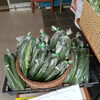 802SKYSHOP 八王子産野菜売り場がリニューアルしました。リニューアル記念で今なら八王子産野菜2点購入ごとに50円引きしています。パッションフルーツ、ブルーベリー、たまご、乾燥椎茸も対象商品です。期間は未定です。今日から開催しています