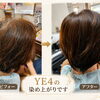 YE4＆YC5.5で大人ボブに艶カラー✨乾かしただけの仕上がりイメージ