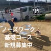 北欧流ノーズワーク教室★新規募集中！