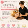 眠っている間に脳は何をしている？◆看護師セラピストが伝える睡眠と脳ケア