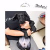 ＼パピートレーニング🐶 ハーネスの脱着・リード、お散歩事前準備🦮／