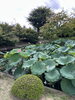 先日、京都の東寺にいきました♪「みえないものが、みえている、感じている、聴こえている」