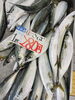 「舞鶴産生さば1匹280円＆舞鶴産さばふぐパック600円（税込）」