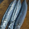 【魚も酒も自ら厳選する瑞江の小料理屋】 
