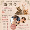 8/23保護猫譲渡会での耳つぼ体験会、満席御礼のお知らせ