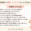 🐾ペットホテルが苦手な子にも♪「お家でお留守番」嬉しい口コミをいただきました