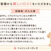 🐾ペットホテルが苦手な子にも♪「お家でお留守番」嬉しい口コミをいただきました