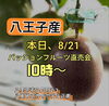 八王子名産パッションフルーツ直売会　お越し下さい。「今日、8月21日 直売会開催！　10時〜 なくなり次第終了。八王子名産パッションフルーツ　八王子市八日町2-3　八王子スカイホテル正面　八王子産　八王子名産　八王子　南国フルーツ　パッションフルーツ　夏　」
