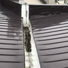 無落雪屋根の樋（とい）清掃