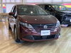 「🚗展示車紹介🚗」