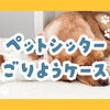 【お盆＆SW満員御礼！】ペットシッターってどんな風に使われているの？