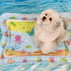 波とわんこ🌊