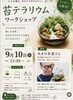 五感で楽しむ癒やしの苔テラリウム「【9/10開催】尼崎を飛び出して猪名川へ。Cafe mannaさんで苔テラリウムワークショップ」