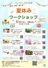 「【8/27・28開催】ALFALINK尼崎で苔テラリウムワークショップ開催！」