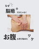 「脳とお腹の関係」