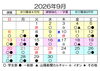 日程「【無料体験実施中】９月の稽古日程のお知らせです」