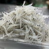 季節限定！霞ヶ浦産 朝獲れ生白魚を販売中です