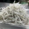 季節限定！霞ヶ浦産 朝獲れ生白魚を販売中です