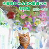 🌟 杉並区版☆12星座占い 🌟まいぷれ☆星見にゃんこ 🌟8/24〜8/30