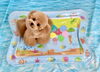 ねねちゃん「波とわんこ🌊」