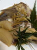 「真鯛のカブト煮で味わうだしの旨み」