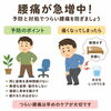 【夏場に急増！】腰痛の予防と対策【出雲•平田•斐川】