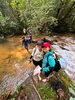 「Tour trekking Đà Lạt: Gợi ý các cung đường từ dễ đến khó」