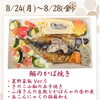 【今週のお弁当のご紹介🍃】