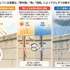 猛暑と強烈な紫外線を耐え抜いた外壁はどうなった？夏の終わりにやるべき「外壁セルフチェック」