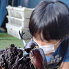 カブトムシ昆虫王国！(^_^)