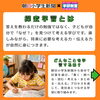 新聞活用探究コース☆８月から単科で学べます【越前市・幼児小学生個別指導/学研スマイル教室】