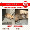 【愛媛県新居浜市】里親募集のお知らせ！